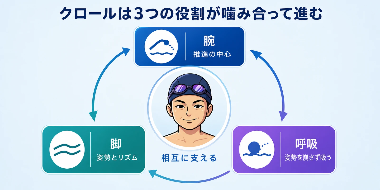 クロールを支える腕、脚、呼吸の3要素を三角形で結んだ図。腕は推進、脚は姿勢とリズム、呼吸は姿勢を崩さない酸素交換を担う