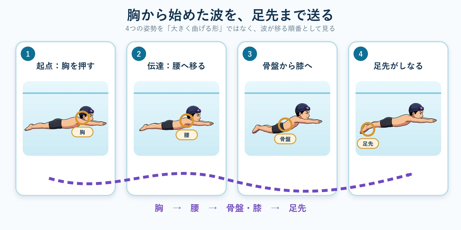 同じ男性スイマーのアバターでバタフライのうねりを横から見た4段階。胸を押す、腰へ移る、骨盤から膝へ伝わる、足先がしなる順に示している
