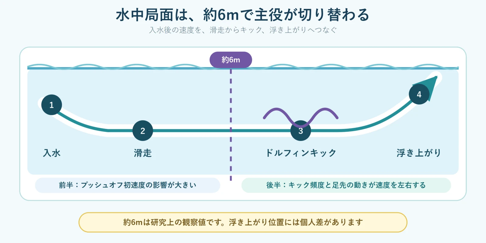 スタート後の水中局面を入水、滑走、ドルフィンキック、浮き上がりの順に示した模式図。約6mまではプッシュオフ初速度、その後はキック頻度と足先の動きの影響が大きいことを示している