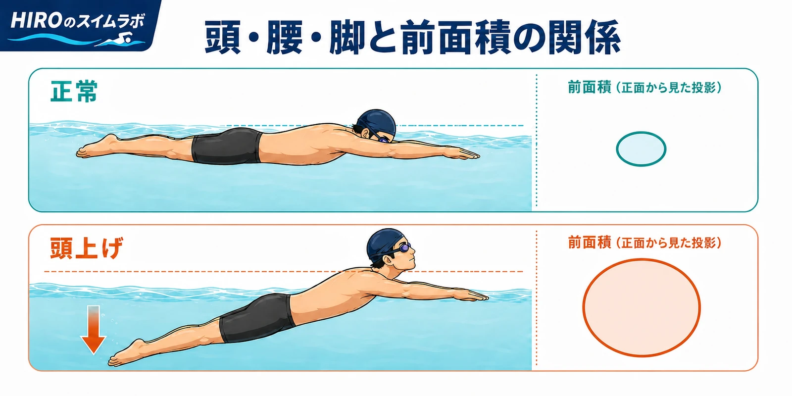 クロール泳者の側面姿勢と正面投影を上下で比較した図。上段は頭・腰・脚が水平で前面が細く、下段は頭を上げて脚が沈み前面が広がる関係を示している